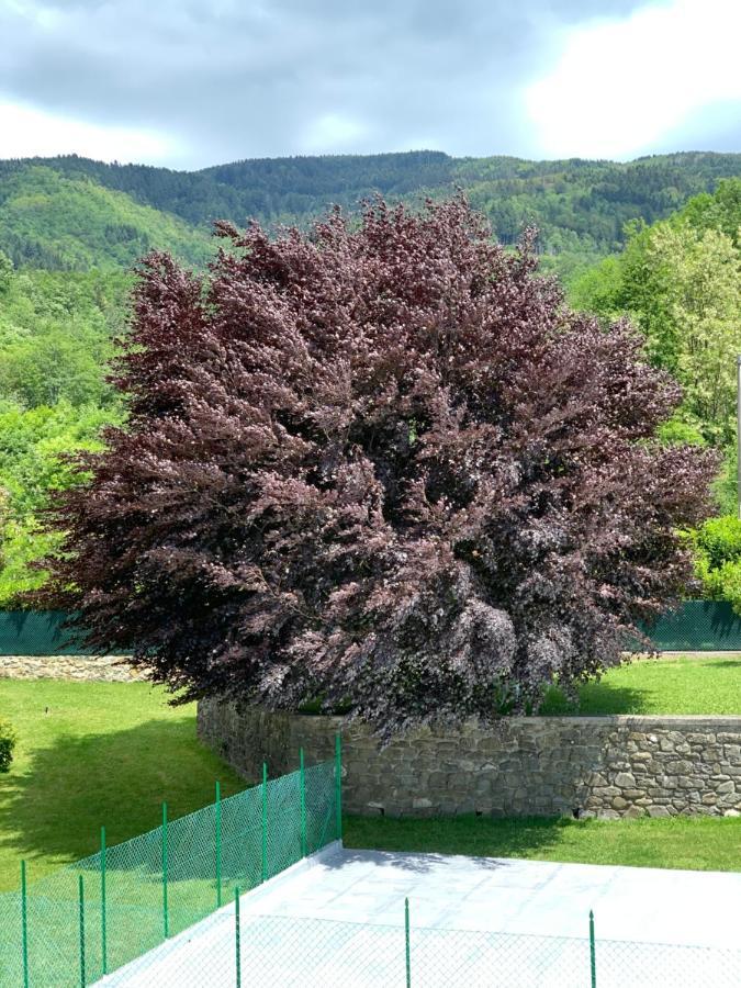 Nidi Del Faggio Rosso - Family Holiday Home Maresca Exteriör bild